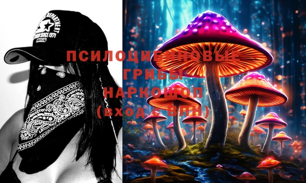 дживик Киренск