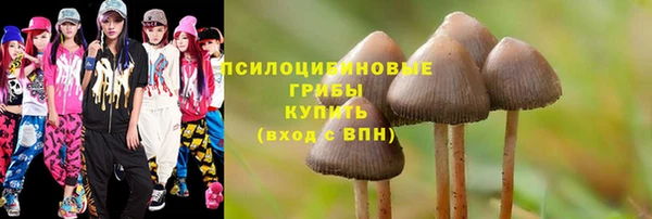 синтетический гашиш Кинешма