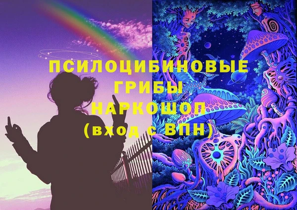 дживик Киренск