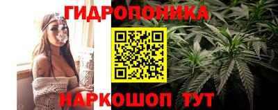 гидра Заволжье