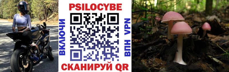 Галлюциногенные грибы прущие грибы  Москва 