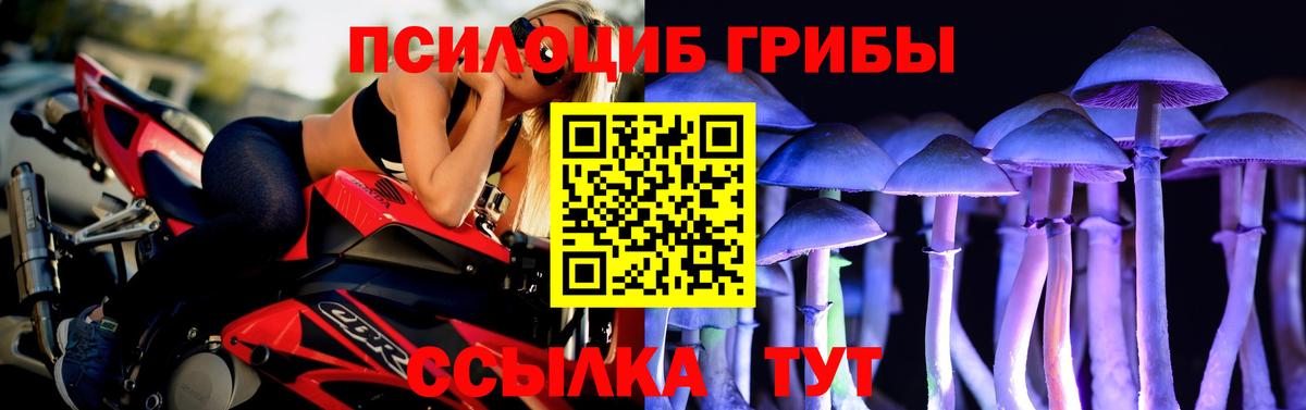 Москва  Псилоцибиновые грибы Psilocybine cubensis  Вход с VPN  Псилоцибиновые грибы MAGIC MUSHROOMS 